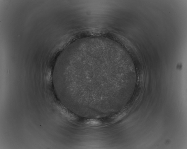 X0000092080610200710101042