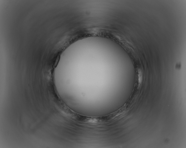 X0000092080611200710101042