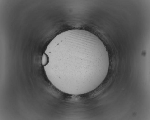 X0000092080612200710101042