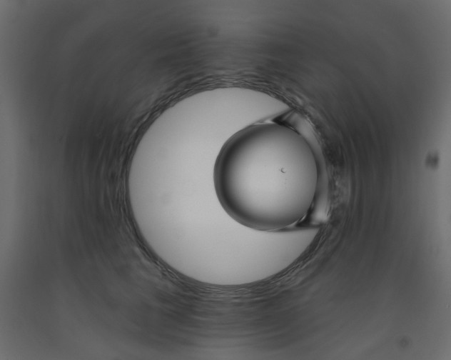 X0000092080613200710101042