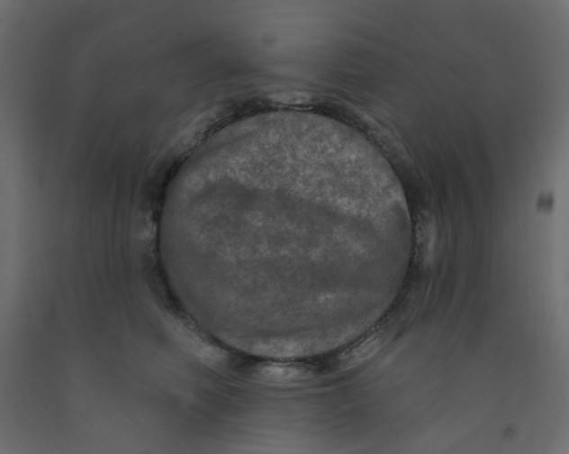 X0000092080614200710101042