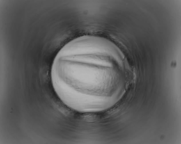 X0000092080615200710101042