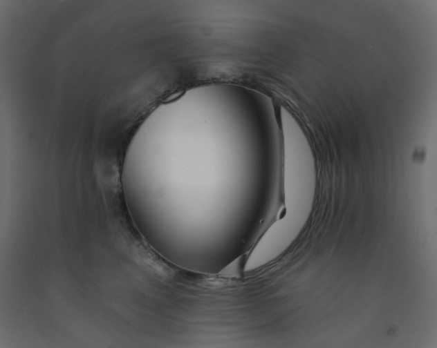 X0000092080617200710101042