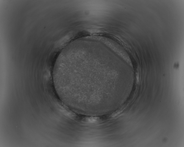 X0000092080618200710101042