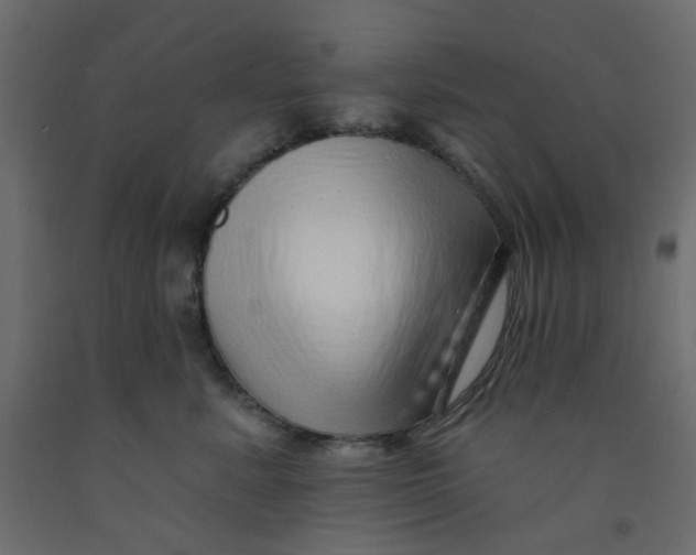 X0000092080619200710101042