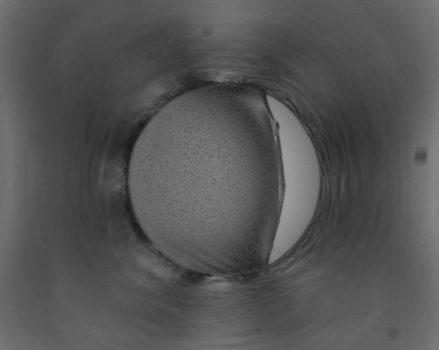 X0000092080620200710101042