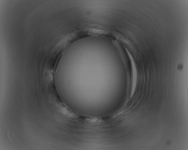 X0000092080621200710101042