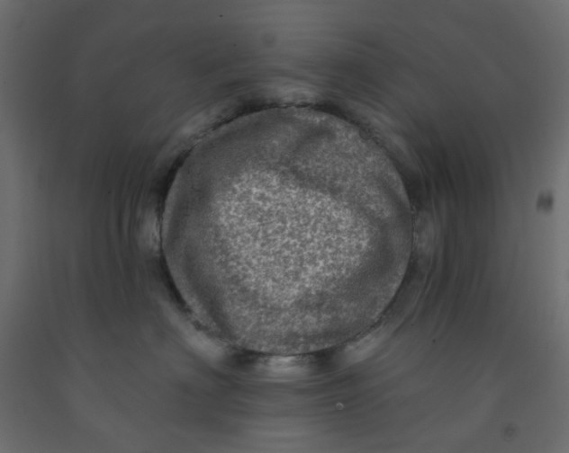 X0000092080622200710101041