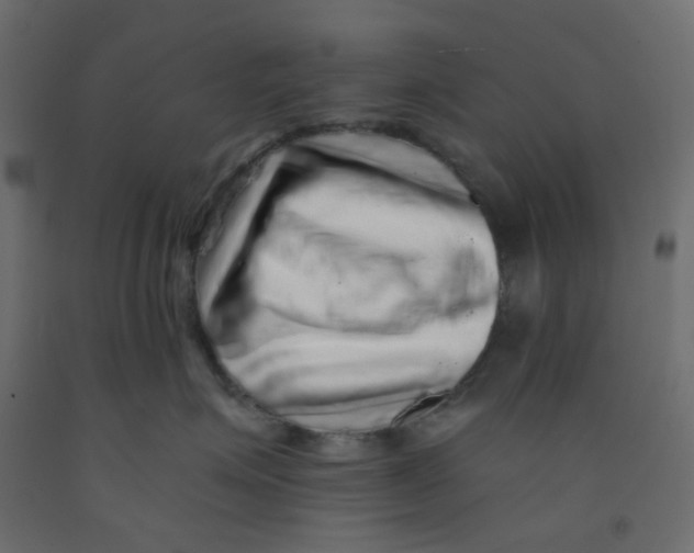 X0000092080623200710101041