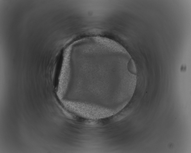 X0000092080624200710101041