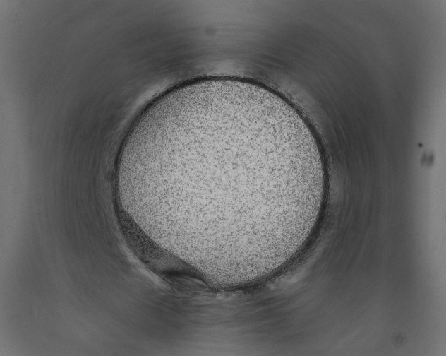 X0000092080625200710101041