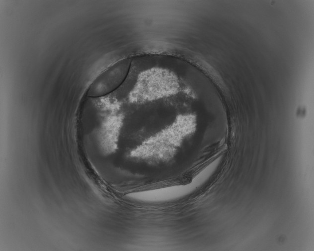 X0000092080626200710101041