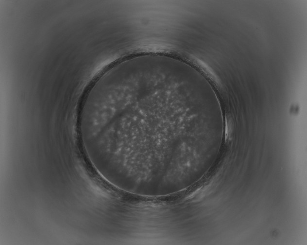 X0000092080627200710101041