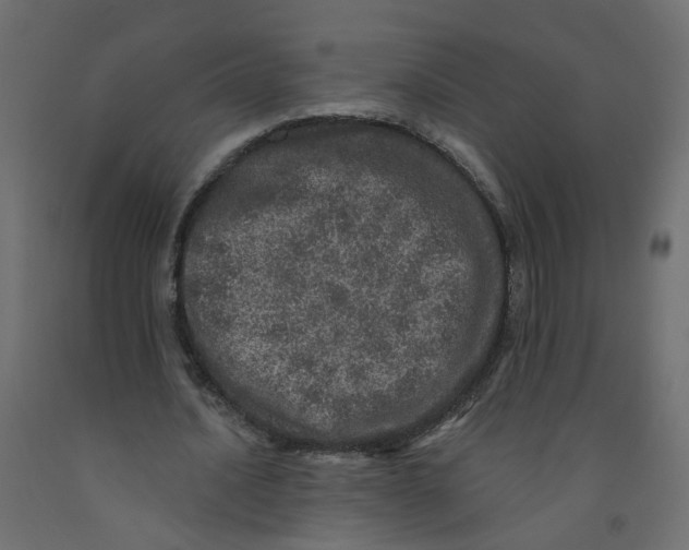 X0000092080628200710101041