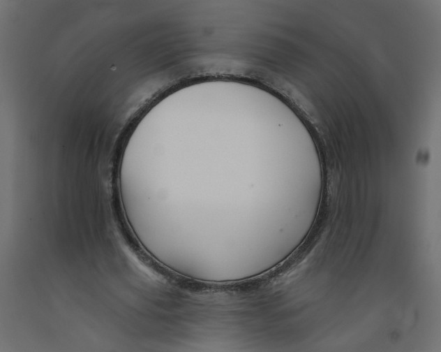 X0000092080629200710101041