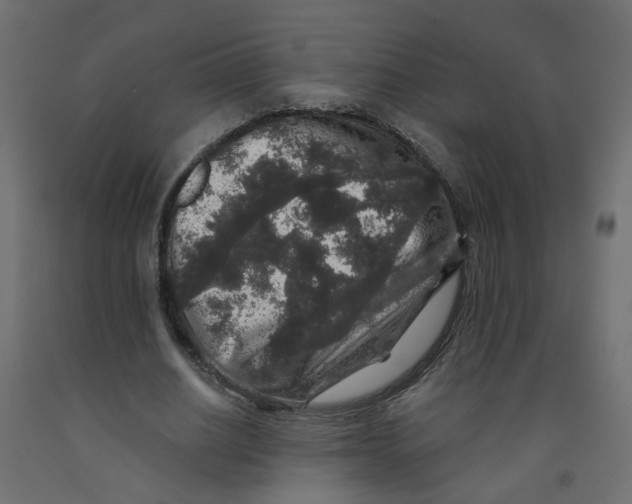 X0000092080630200710101041