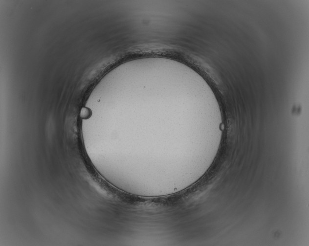 X0000092080633200710101041