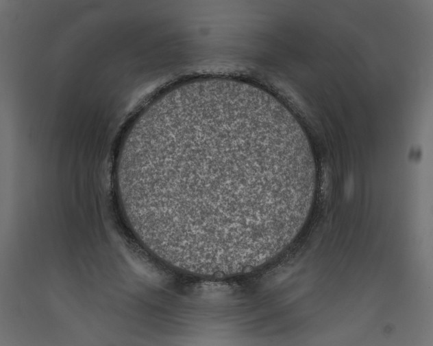 X0000092080636200710101041