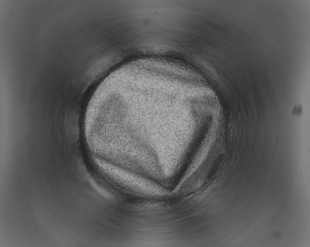 X0000092080638200710101041