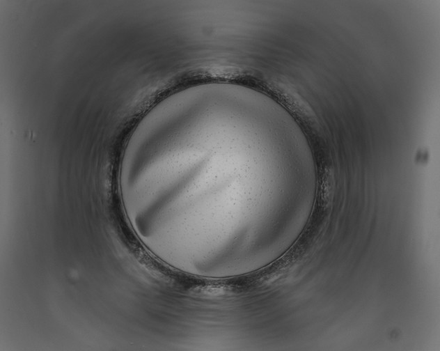 X0000092080639200710101041