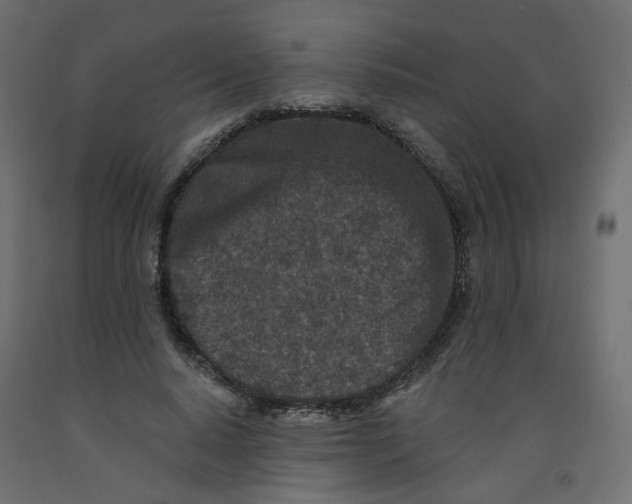 X0000092080640200710101041