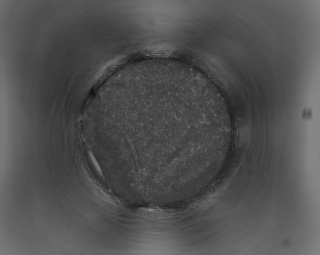 X0000092080641200710101041