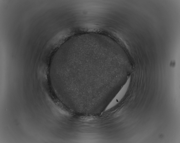 X0000092080643200710101041