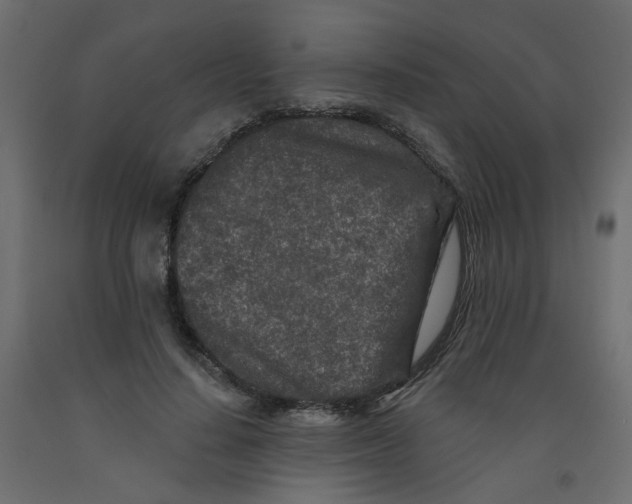 X0000092080644200710101041