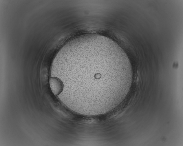 X0000092080646200710101041