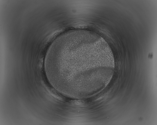 X0000092080652200710101041