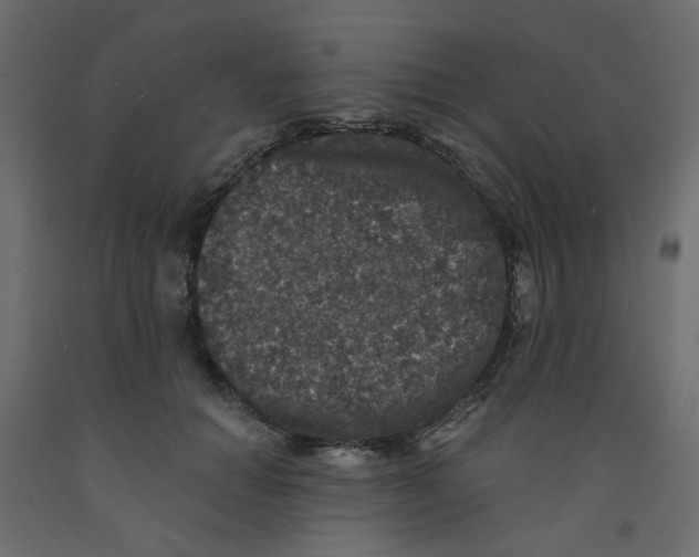 X0000092080654200710101041