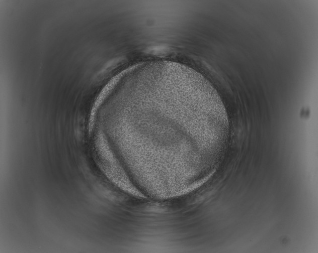 X0000092080656200710101041