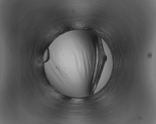 X0000092080665200710101041