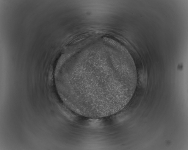 X0000092080667200710101041