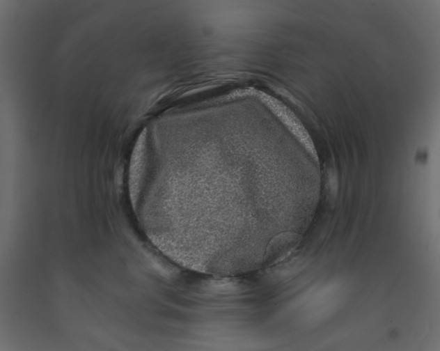 X0000092080668200710101041