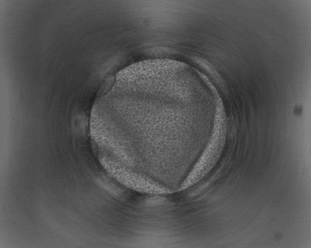 X0000092080669200710101041