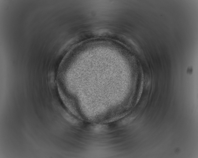 X0000092080670200710101041