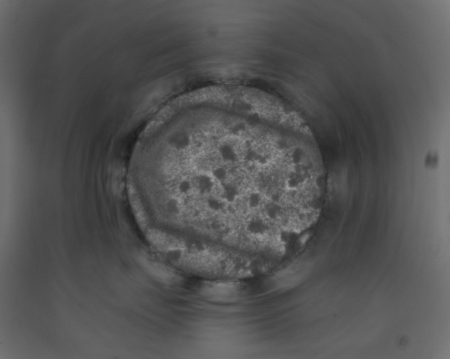 X0000092080671200710101041