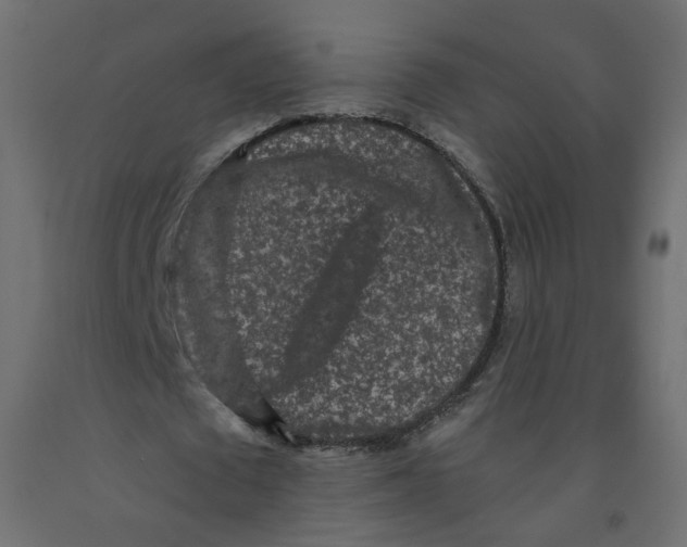 X0000092080673200710101041