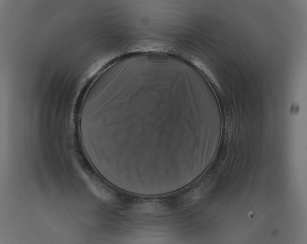 X0000092080674200710101041