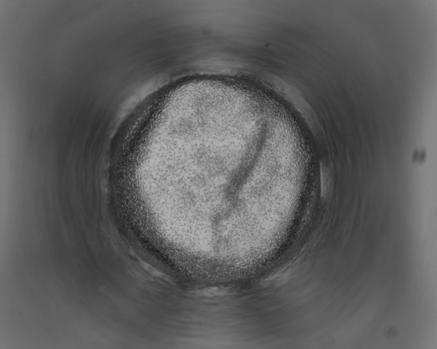 X0000092080675200710101041