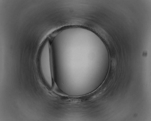 X0000092080676200710101041