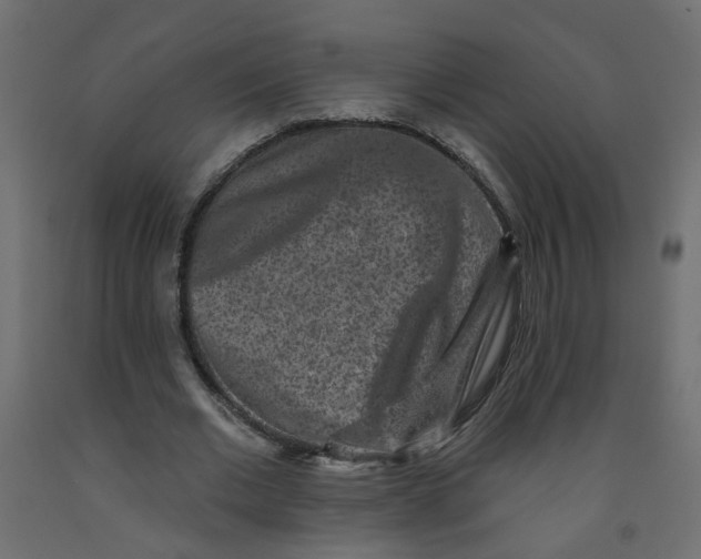 X0000092080677200710101041