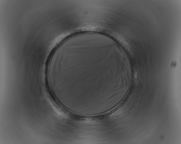 X0000092080678200710101041