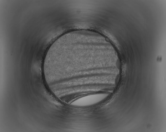 X0000092080681200710101041