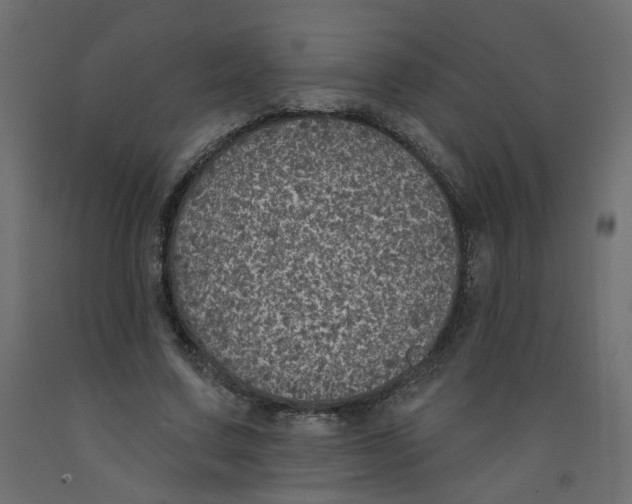 X0000092080683200710101041