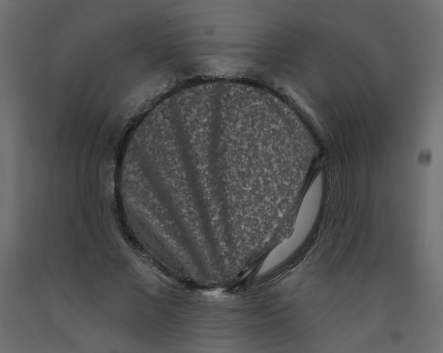 X0000092080685200710101041