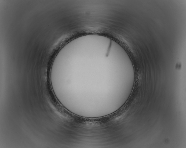 X0000092080686200710101041