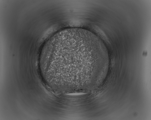 X0000092080687200710101041