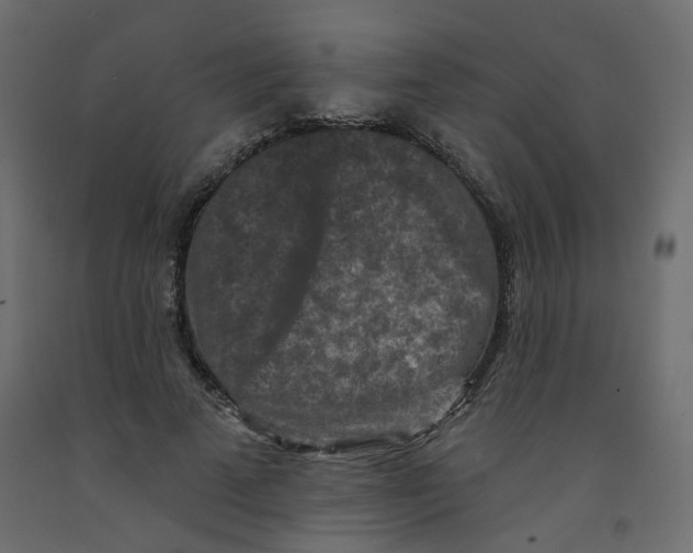 X0000092080689200710101040